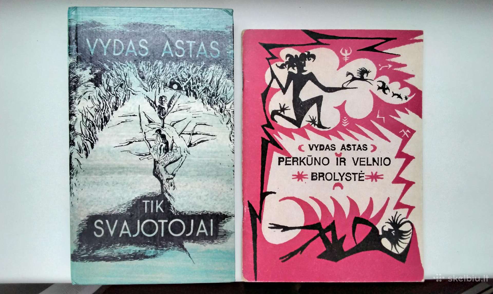 Tik svajotojai. Perkūno ir velnio brolystė