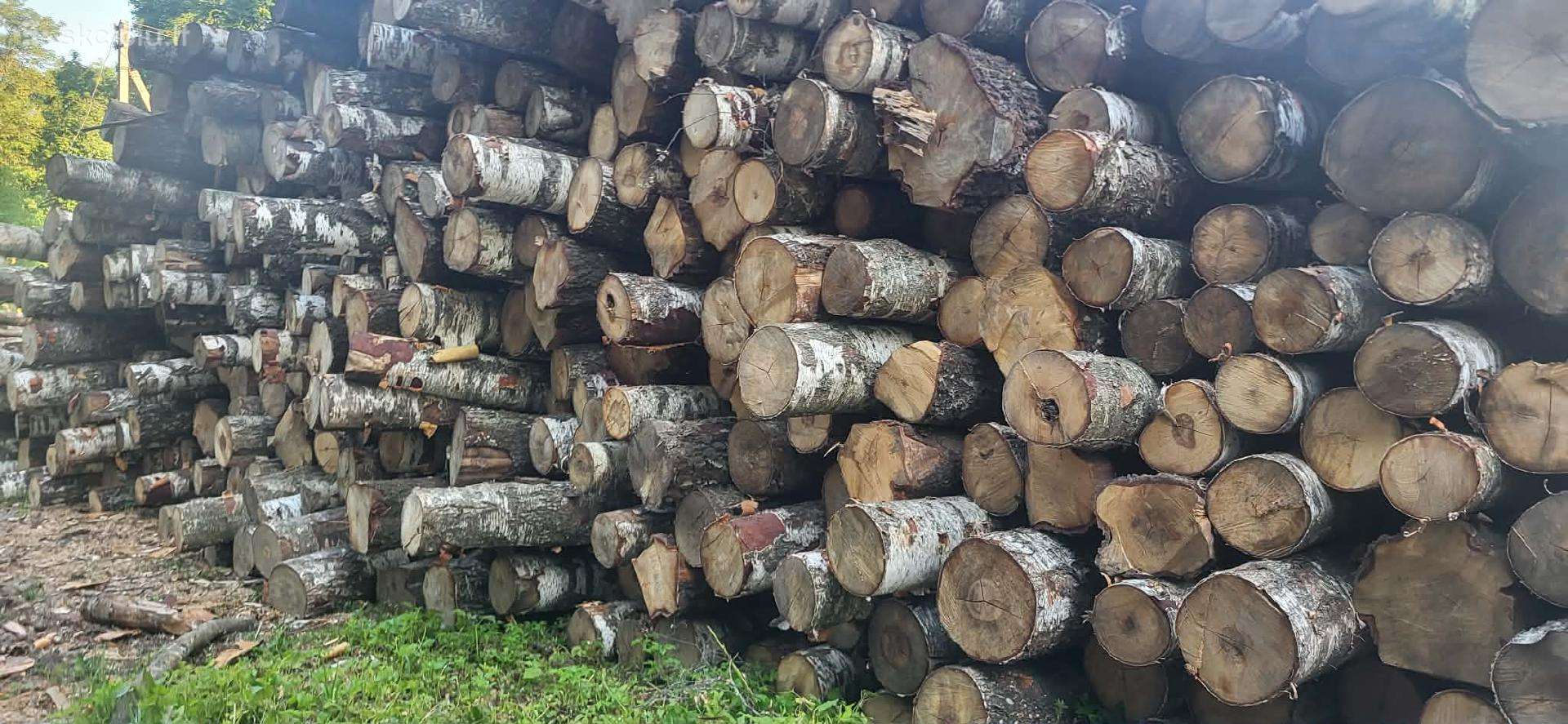 Malkos Kaunas Jonava kedainiai berzas pigiai