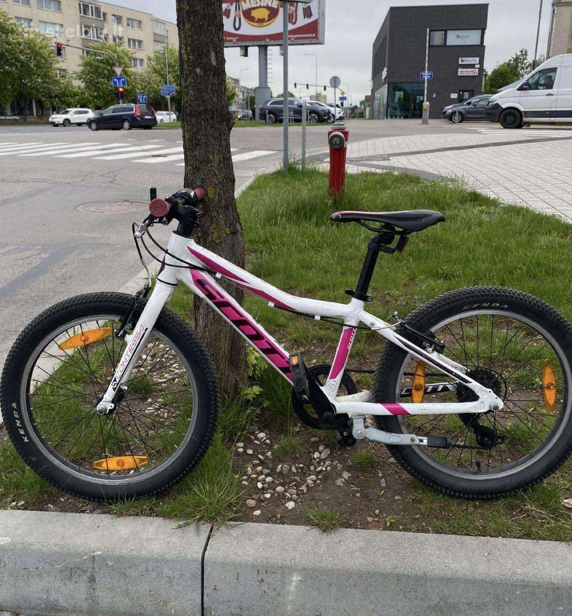 Vaikiškas Scott Jr 20