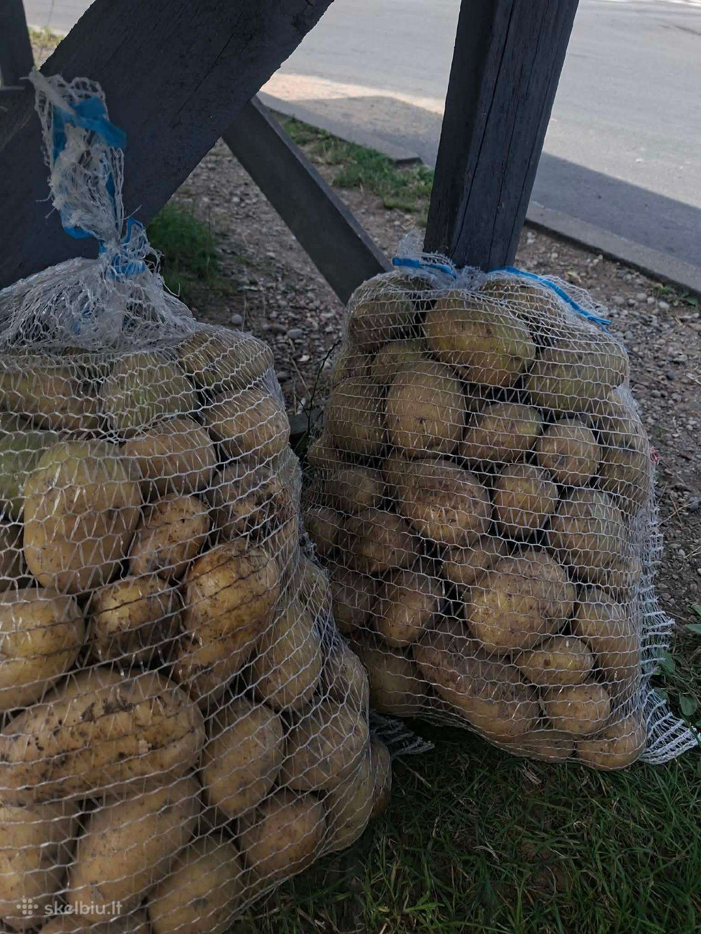 Šviežios Bulves Didmena