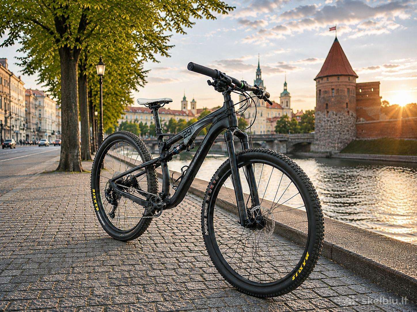 Karboninis MTB Soon dviratis
