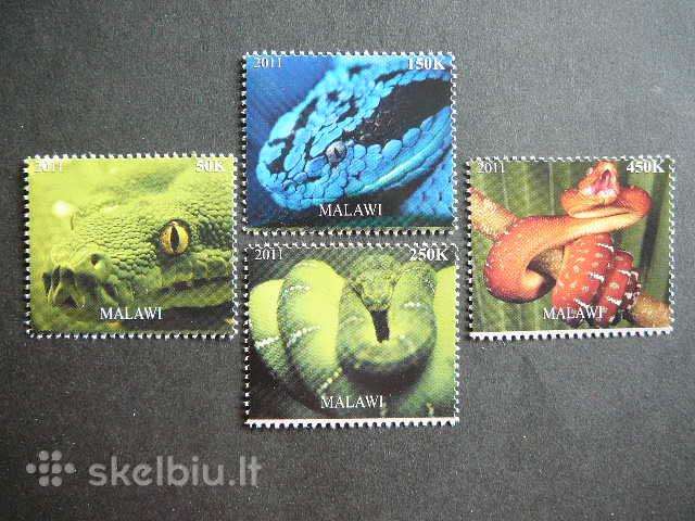 Gyvates Malavis 2011 svarus m1512