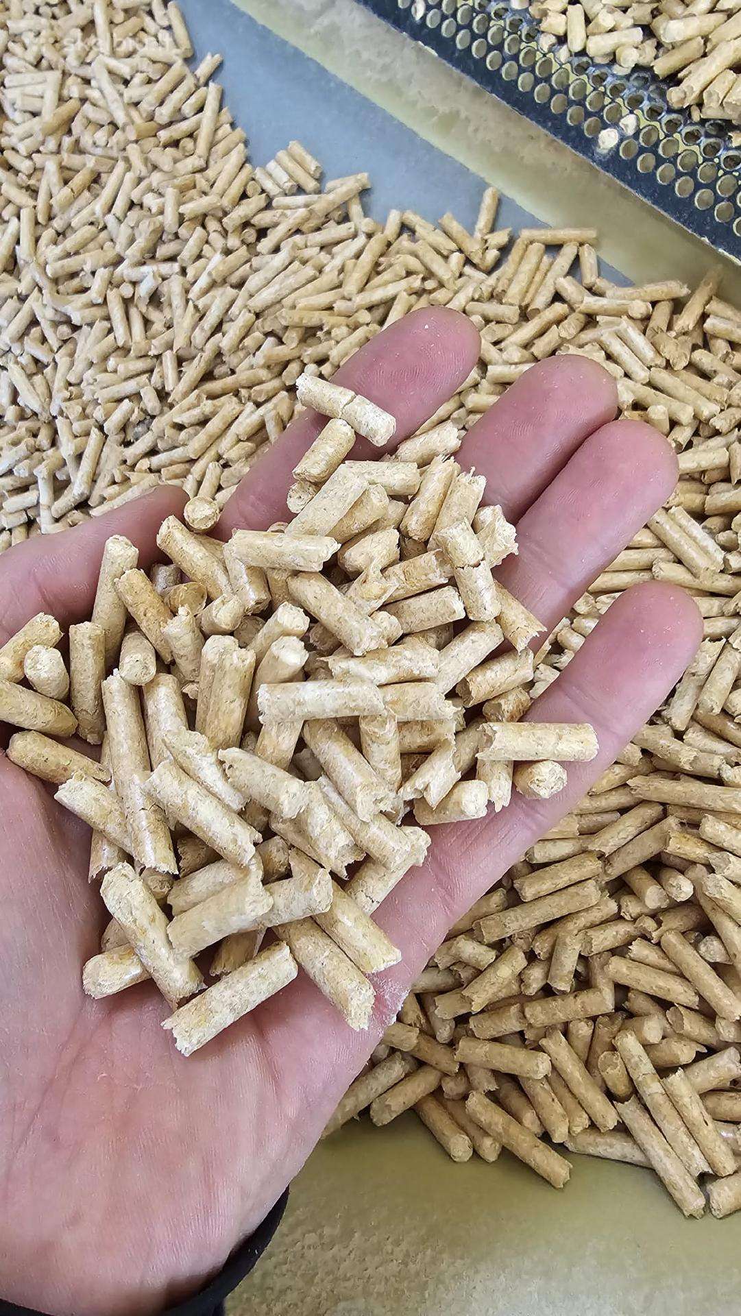 Spygliuočių medžio pjuvenų granulės 6 mm