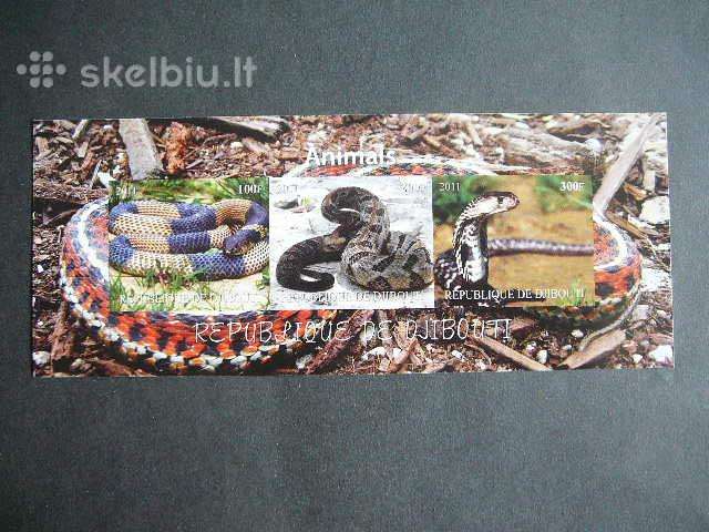 Gyvates Dzibutis 2011 svarus d1515b
