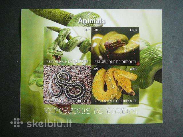 Gyvates Dzibutis 2011 svarus d1516b