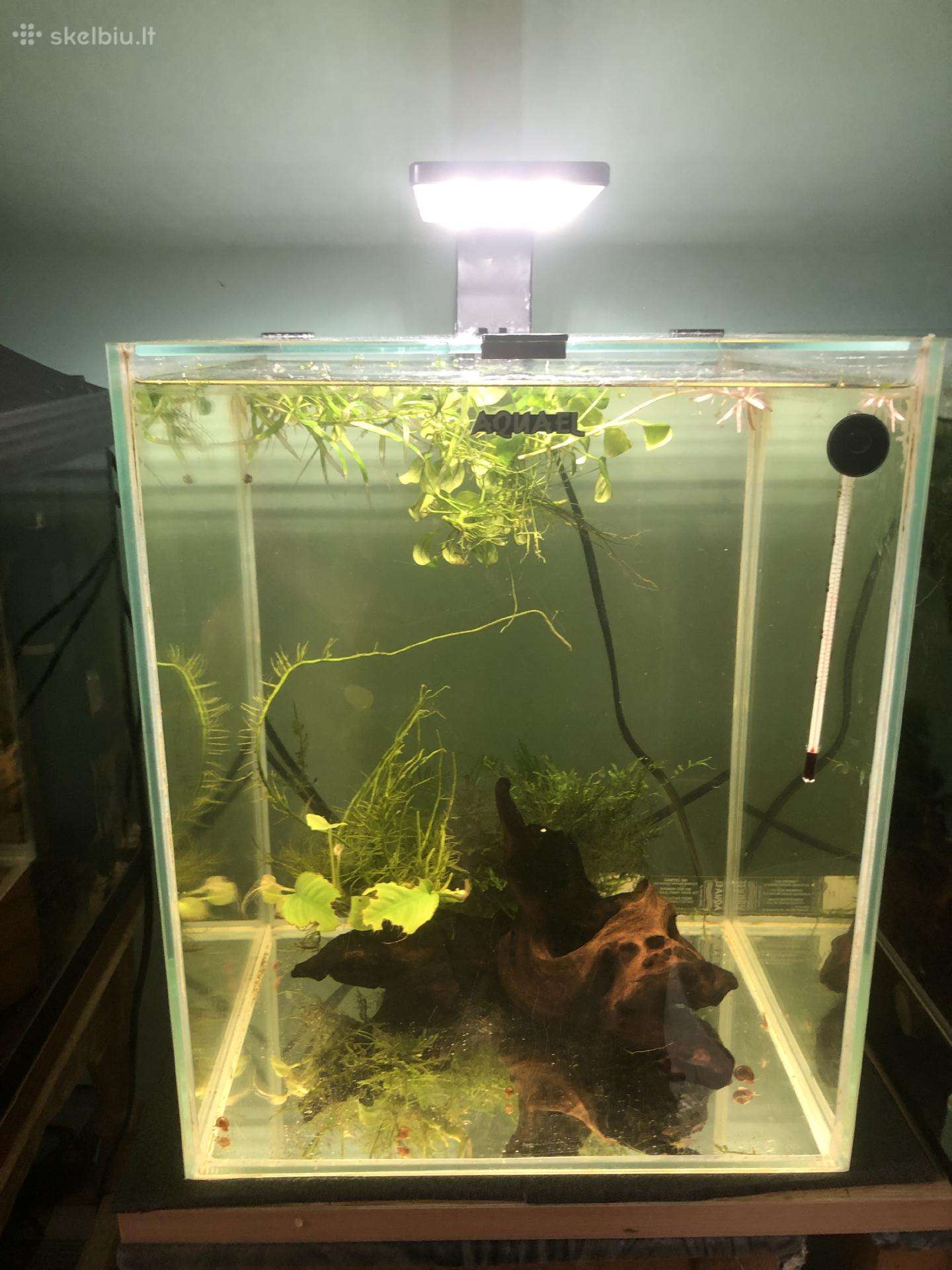 Aquael 30l kubas