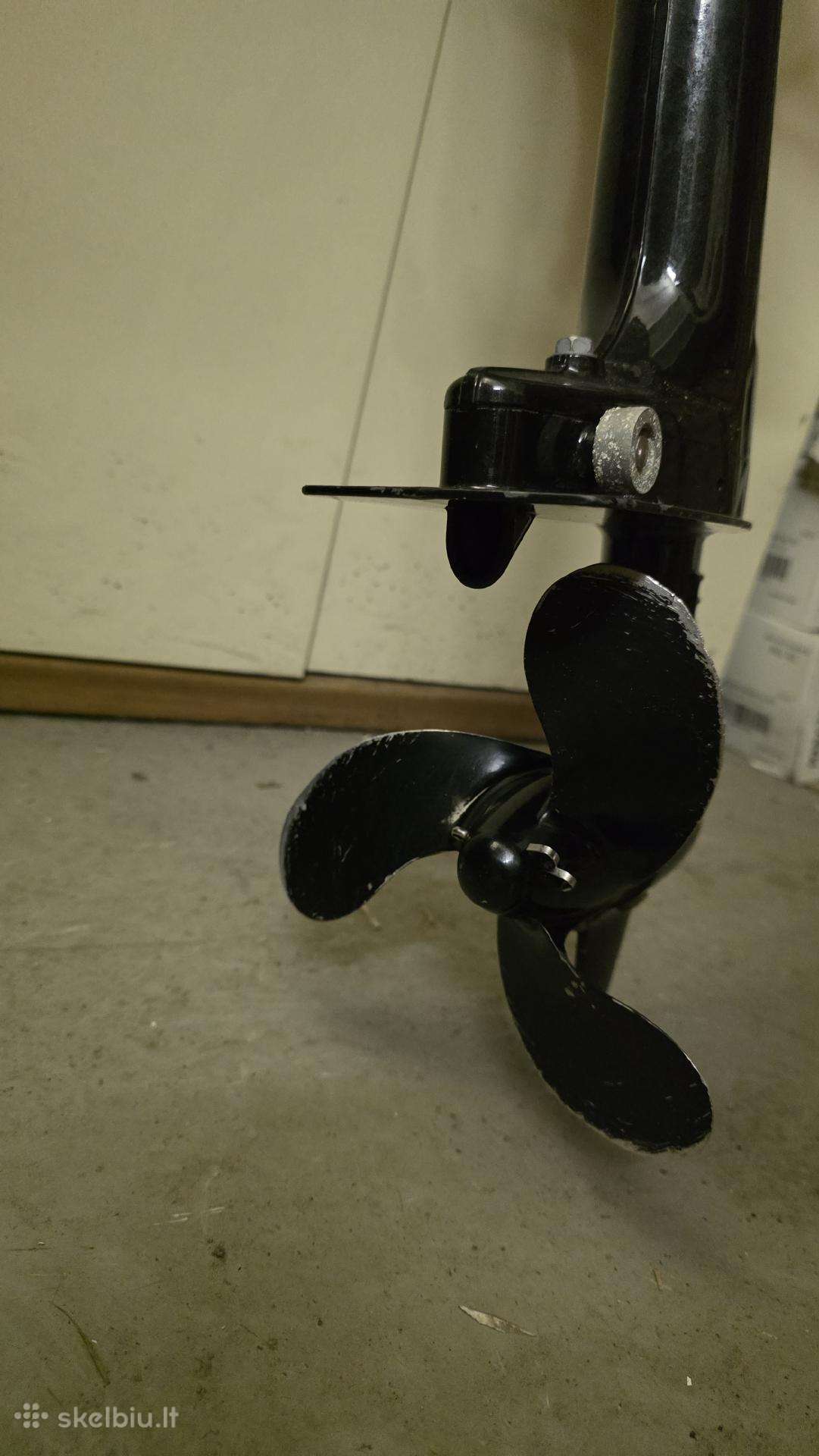 Kolibri, kita