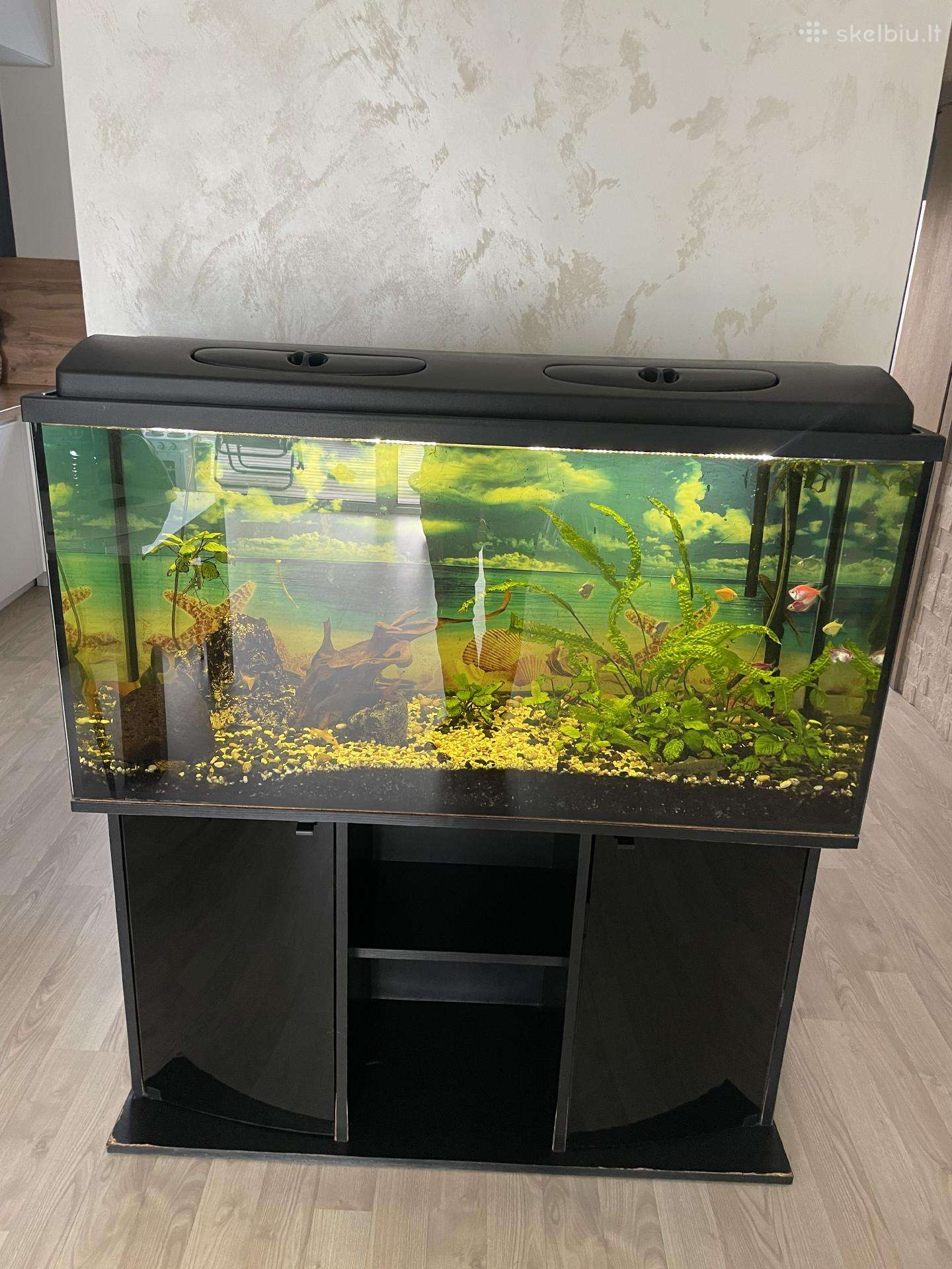 Akvariumas su spintele 300l