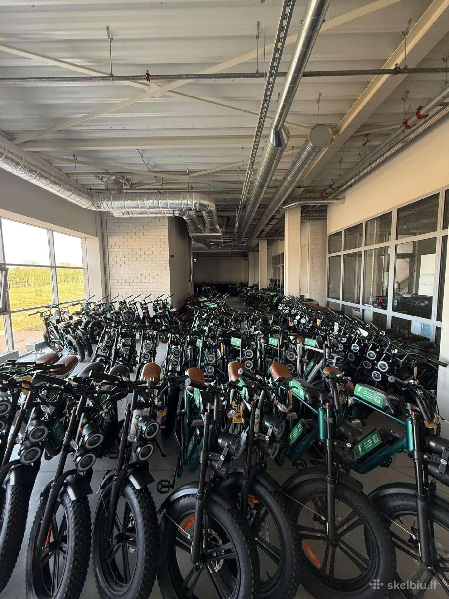 Reliable Fat Tire E-bikes Rental for Wolt / Bolt /