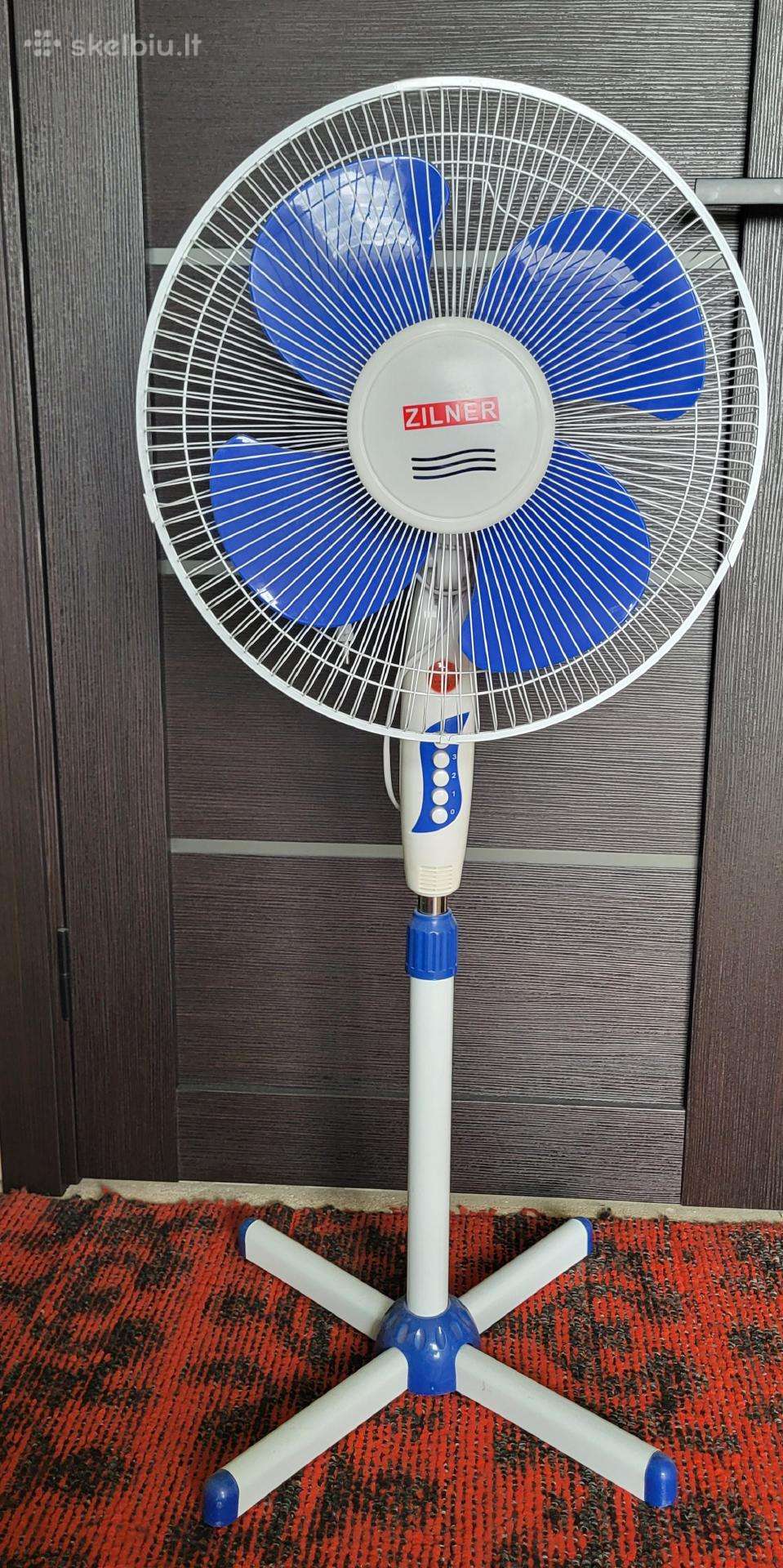 Vejelis