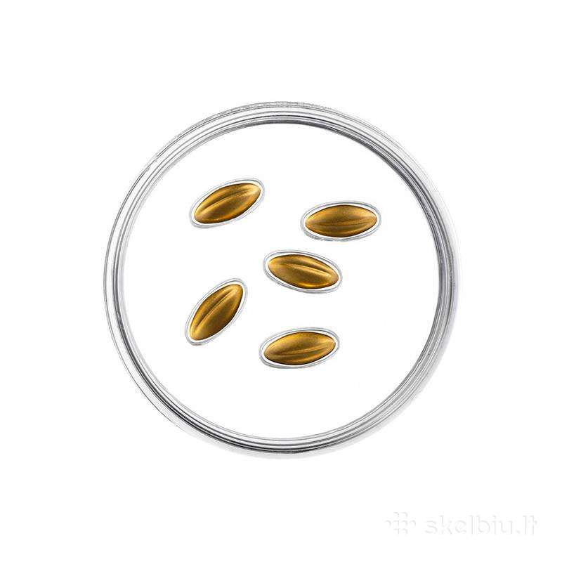 Latvija 2026 Auksinės sėklos