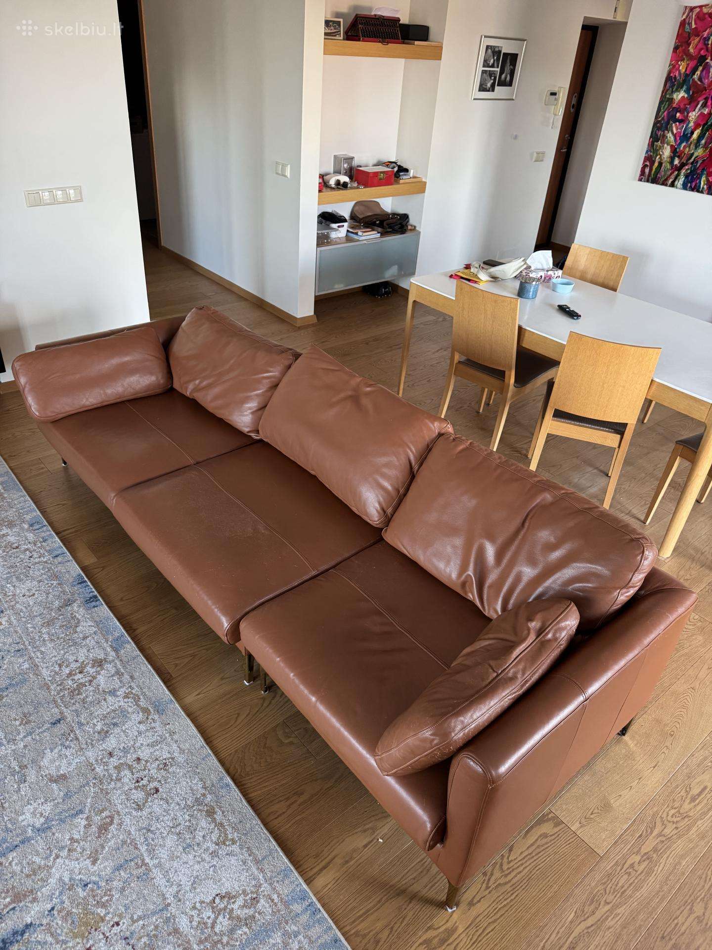 Odinė sofa