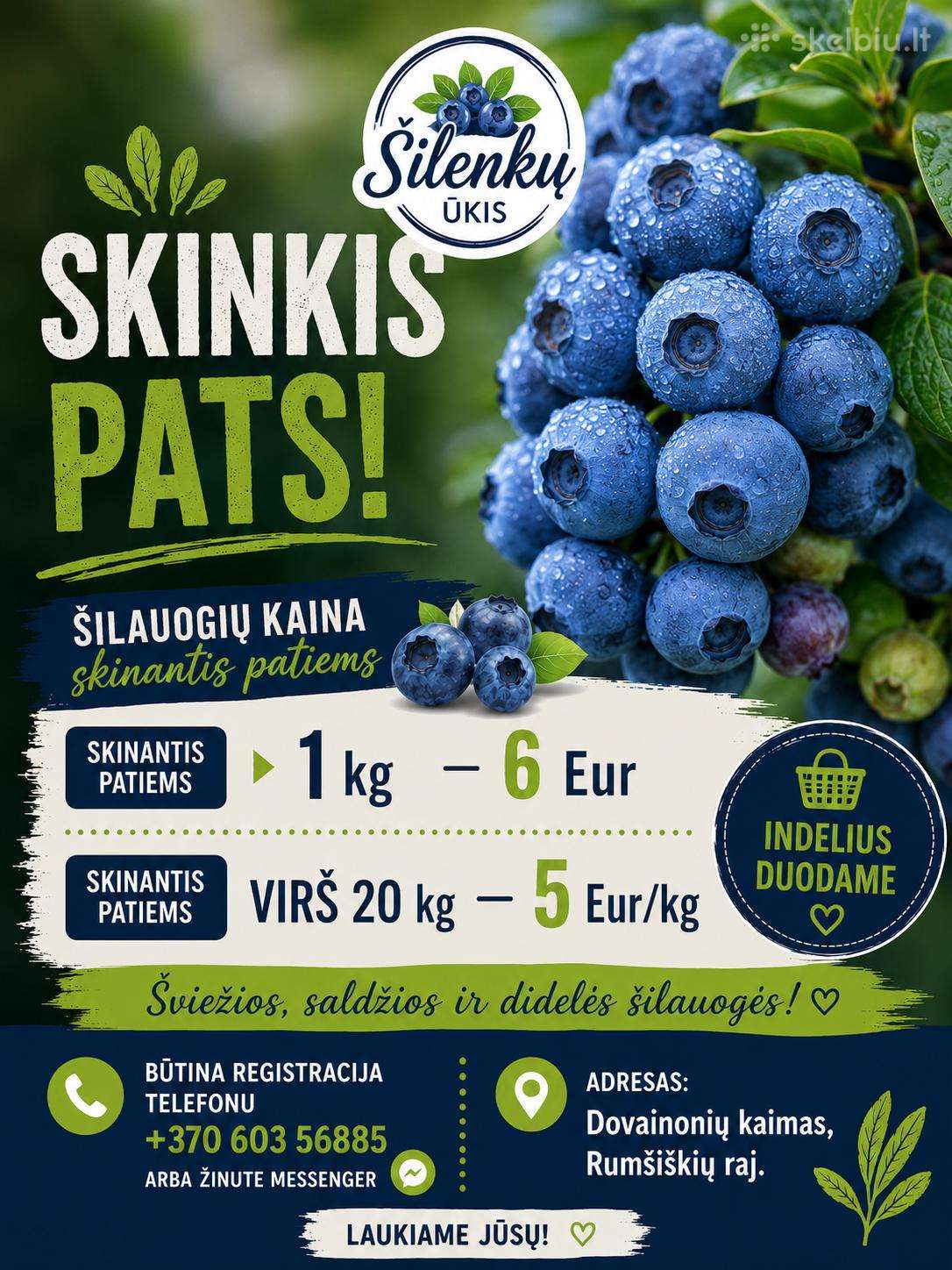 Šilauogės – skinkis pats, Rumšiškės, Kauno r.