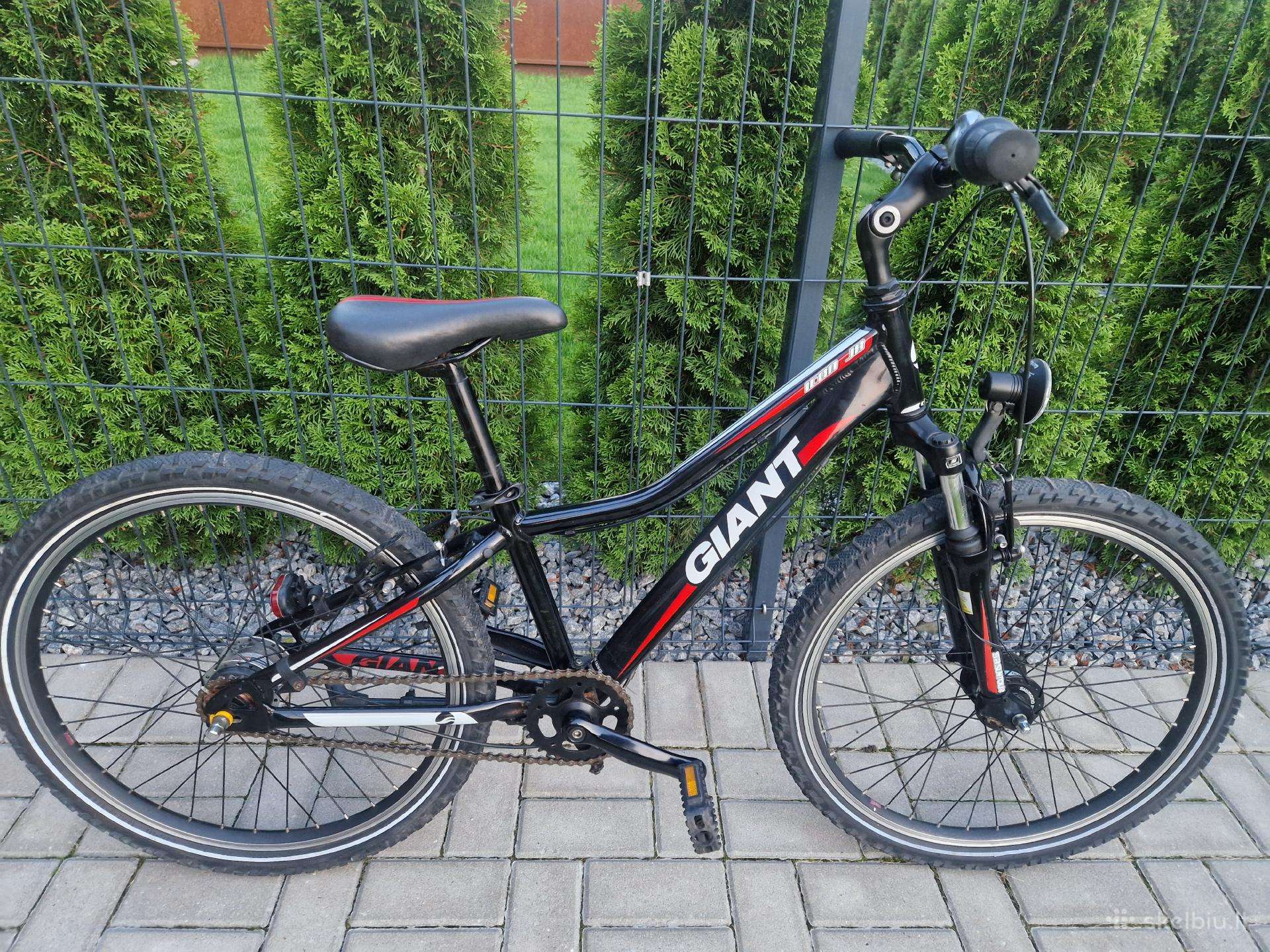 Vaikiškas Giant dviratis 24 colių ratais
