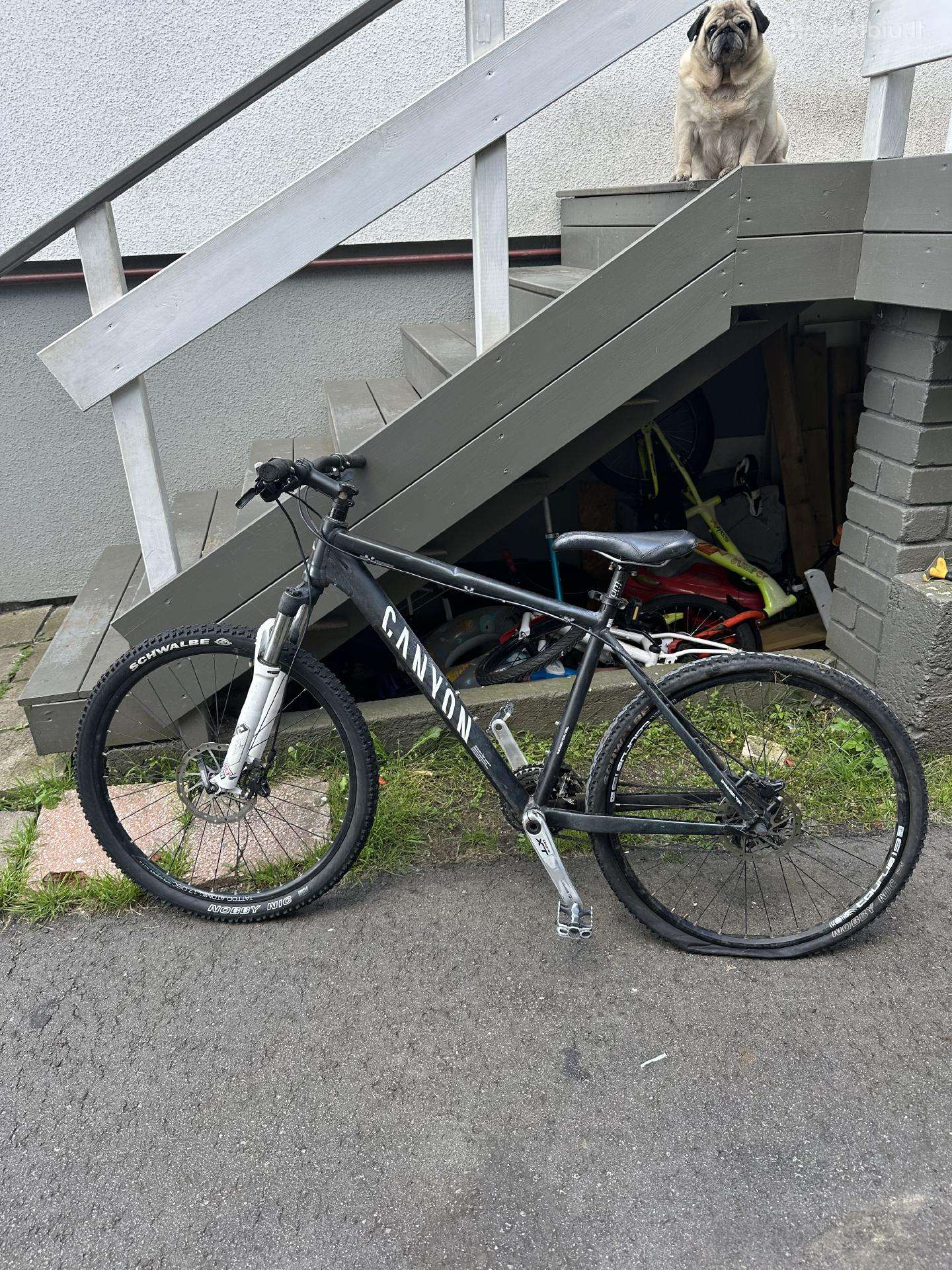 Canyon Grand Canyon mountain bike