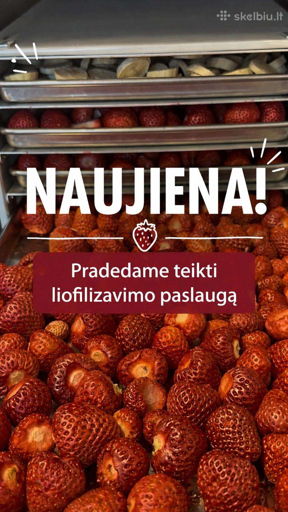Džiovinimas šaltyje (liofilizacija)