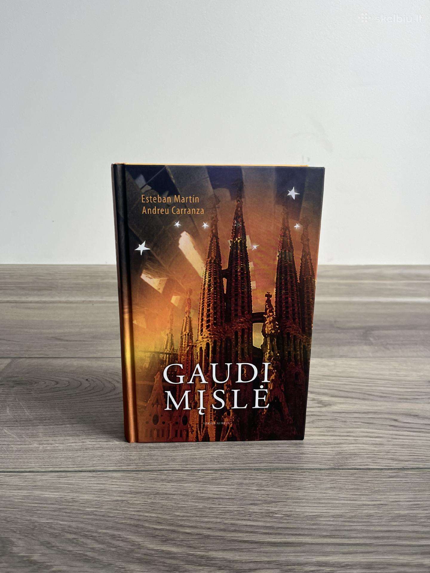 Esteban Martin, Andreu Carranza Gaudi mįslė