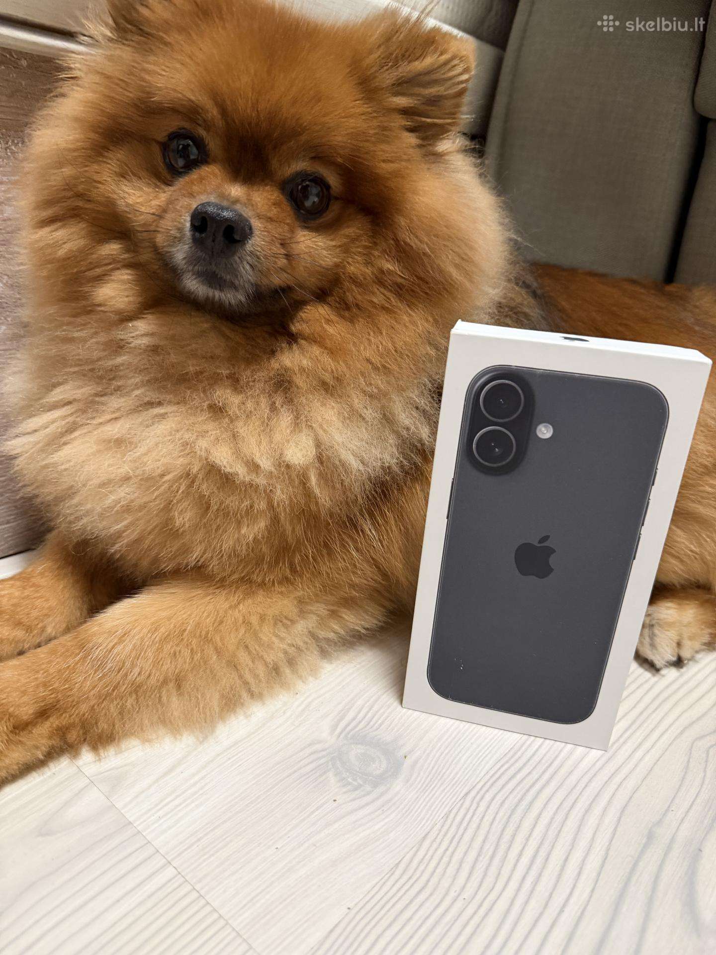 Naujas! Apple iPhone 17 256gb 24men. Garantija