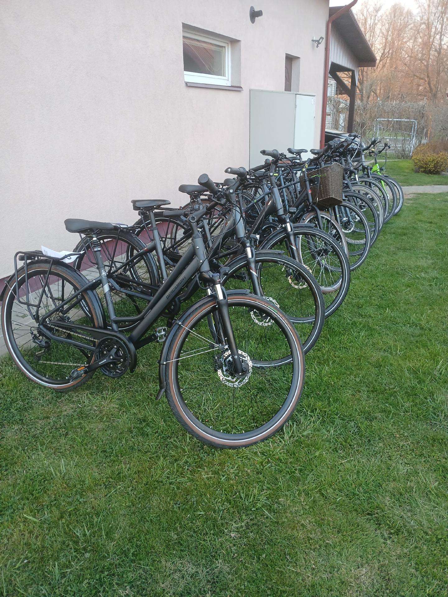 Cube KTM bergemont gazelle trek kalkoff pegasus
