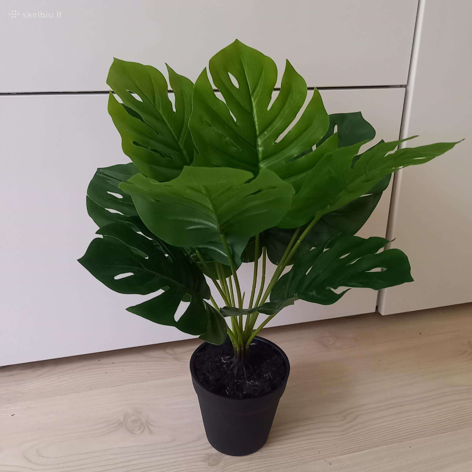 Gražuolis dirbtinis augalas( 50cm.)