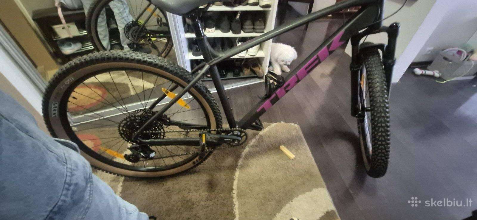 Trek Marlin 7 XL 29"