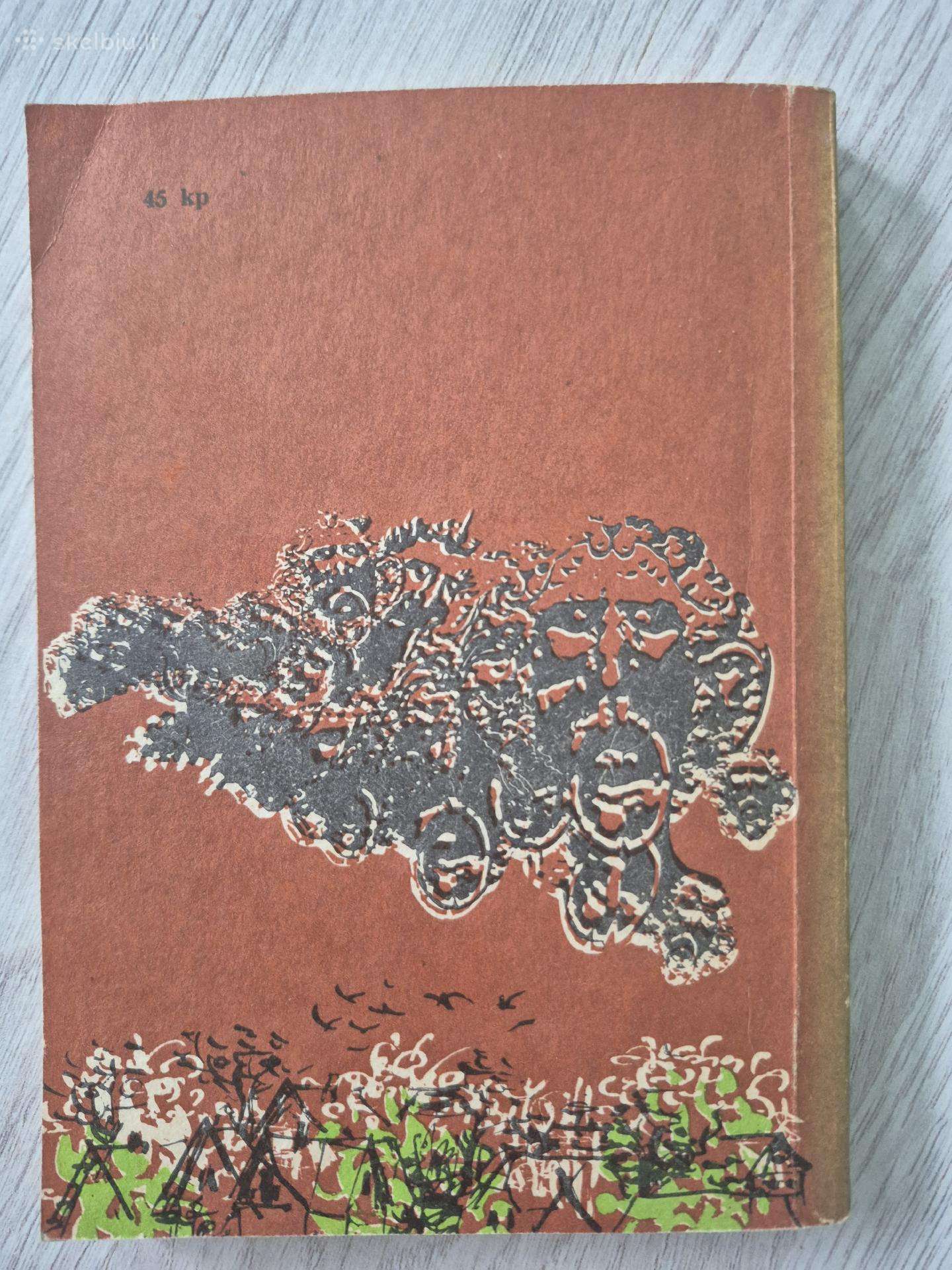 Jonė Balčiūnaitė Dinozauro laikas