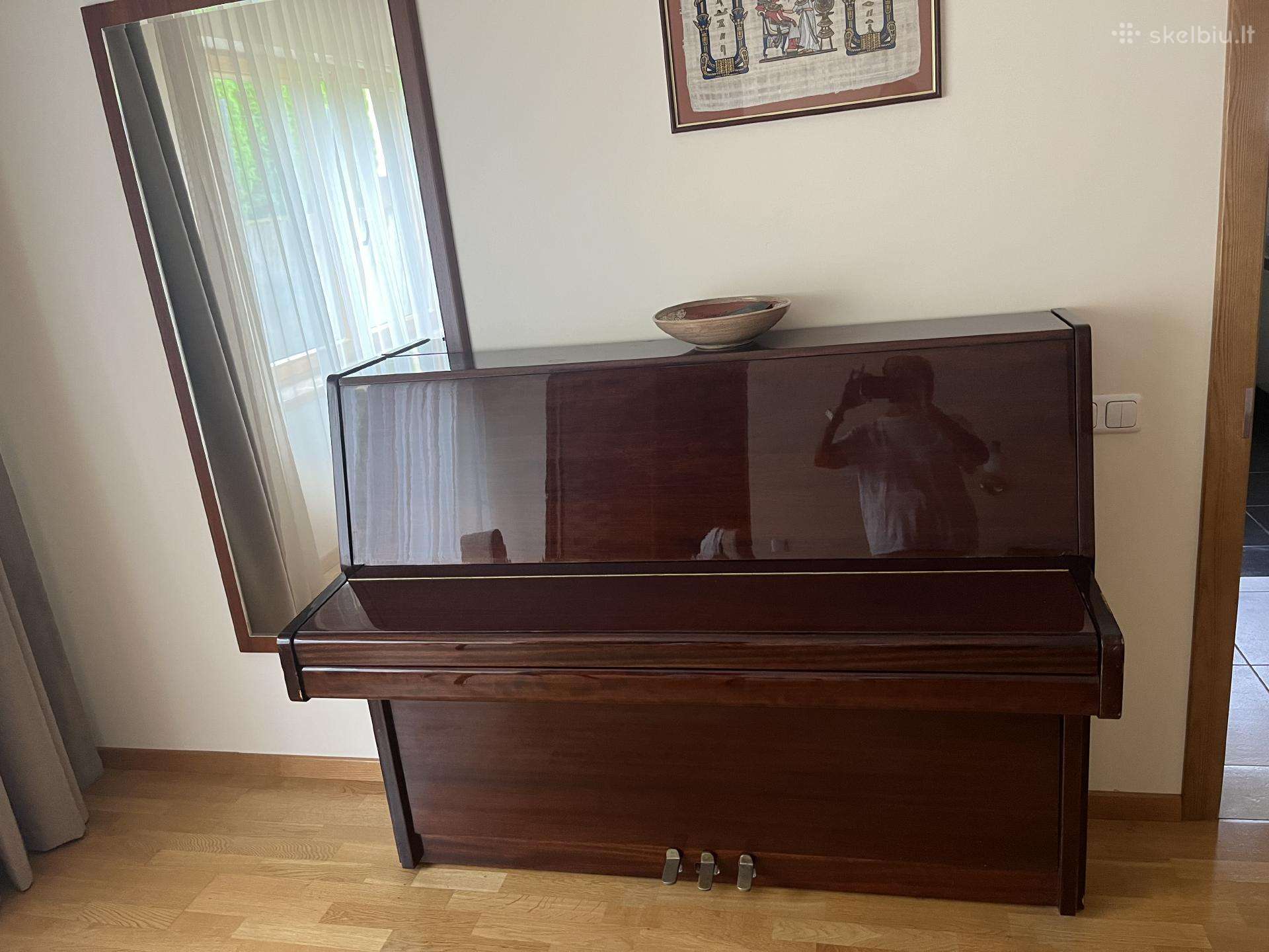 Muzikos instrumentai