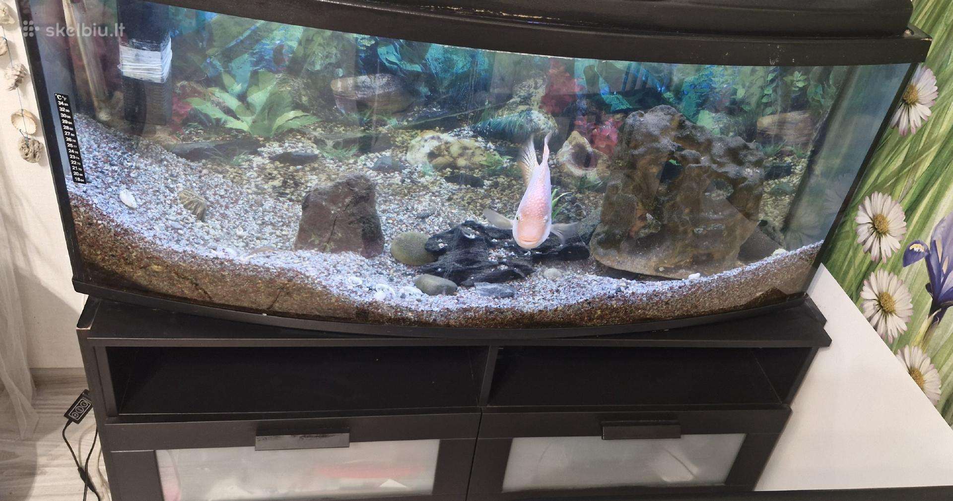 Parduodamas akvariumas apie 180 litrų