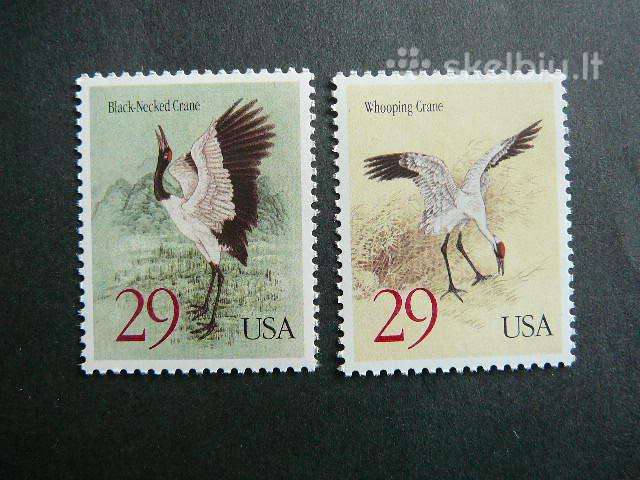 Pauksciai JAV 1994 svarus jv42