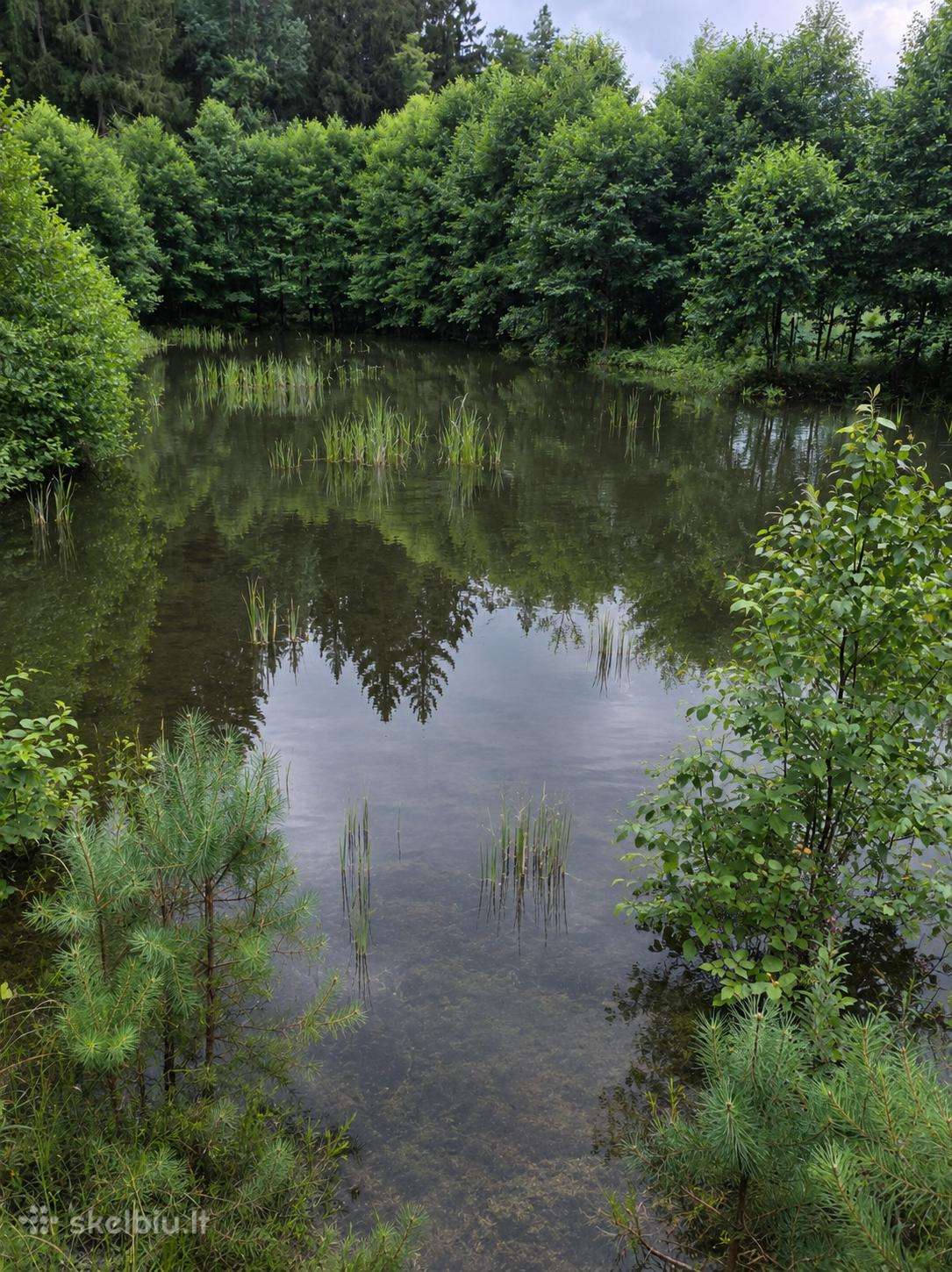 Parduodu mišką