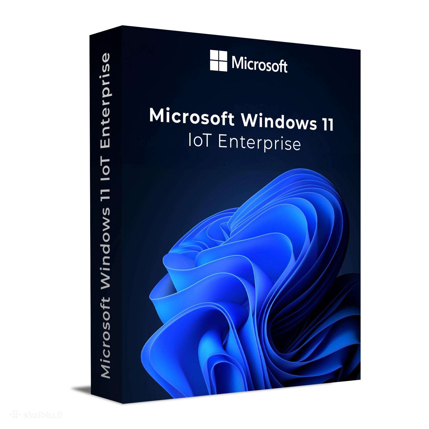 Windows 11 Iot Enterprise Ltsc aktyvacijos raktas