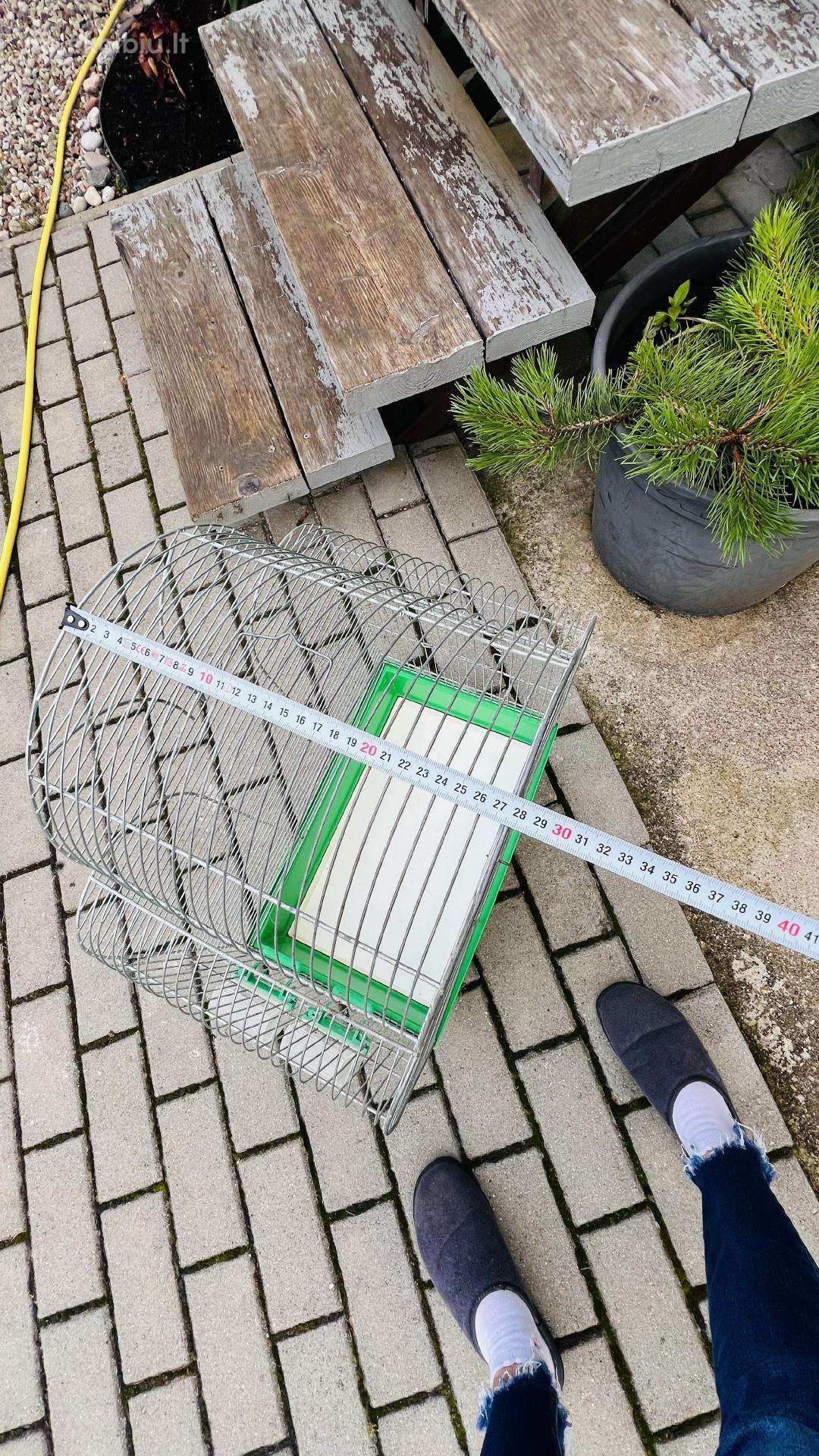 Narvelis paukščiams