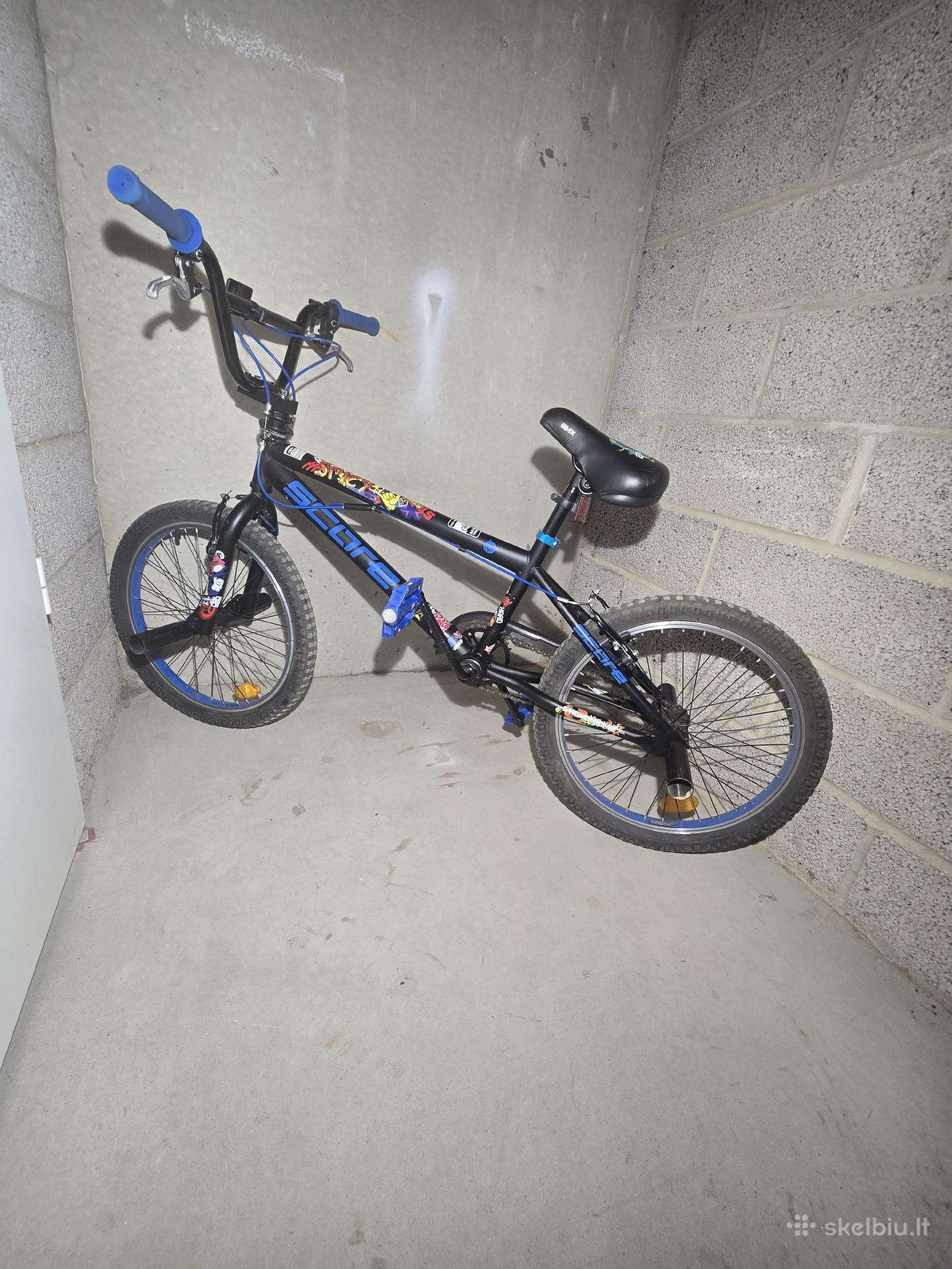 BMX dvratis Score