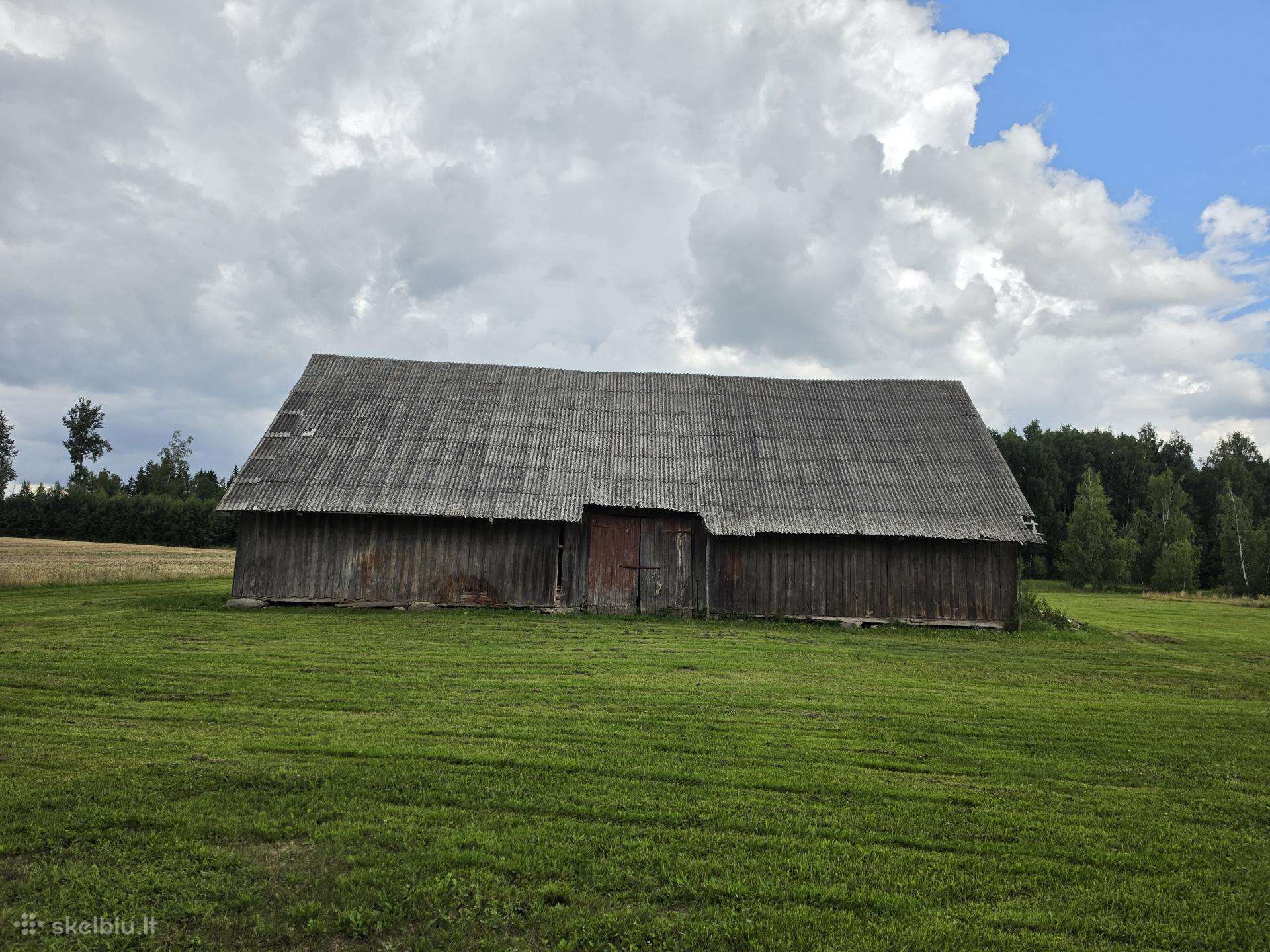 Nusigriauti už malkas