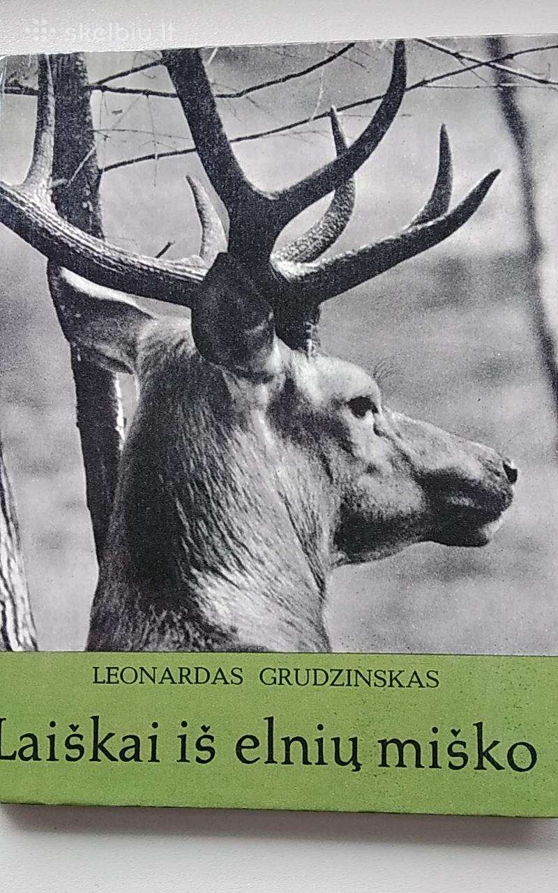 Laiškai iš elnių miško
