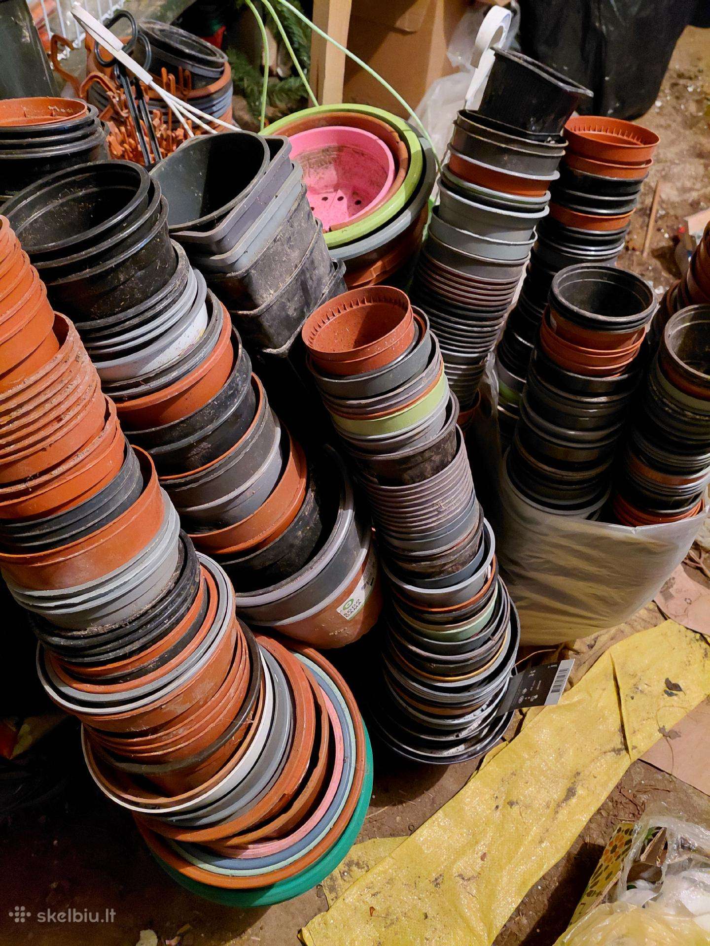 Naudoti plastikiniai vazoneliai daigams daug yra.