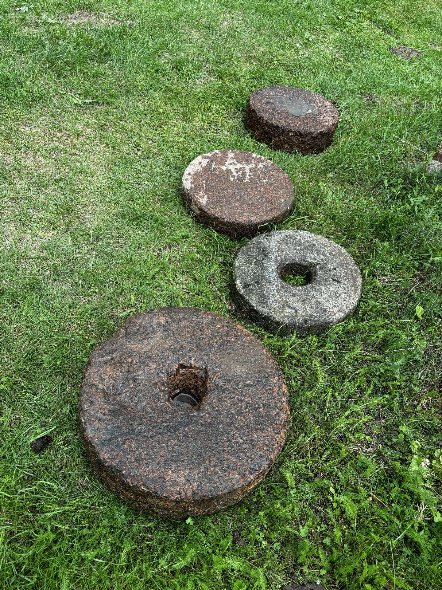 4 girnapusės