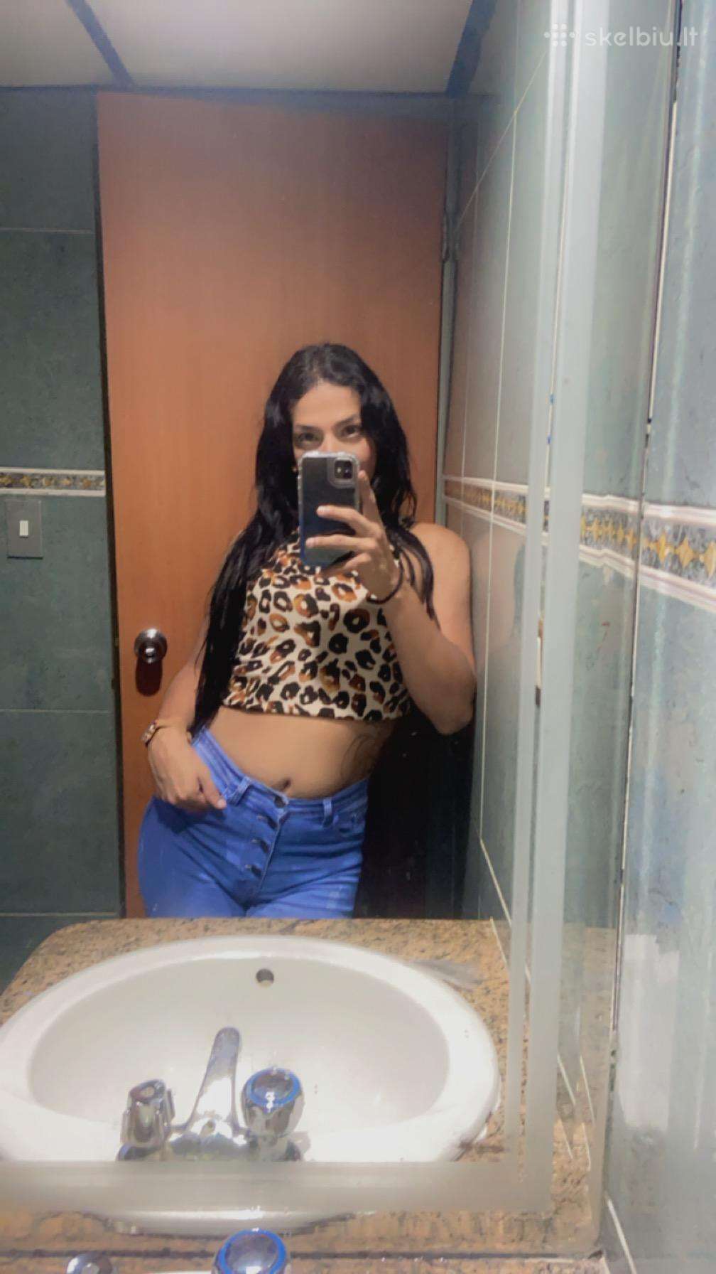 Camy Trans