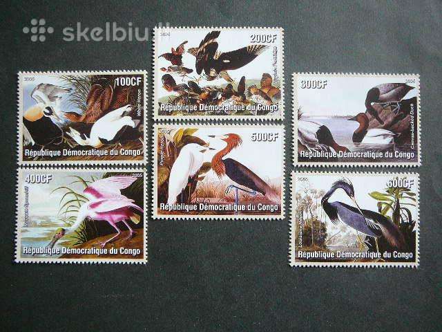 Pauksciai Audubon Kongas 2005 svarus kg286