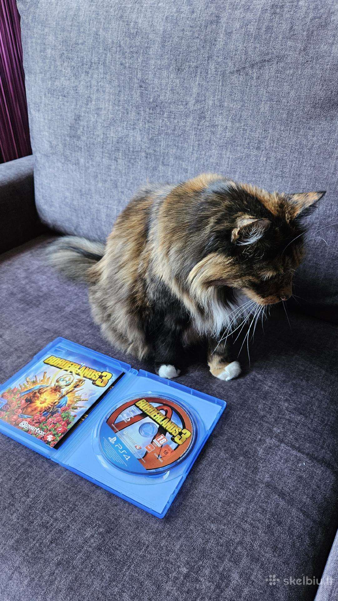 Borderlands 3 ps4