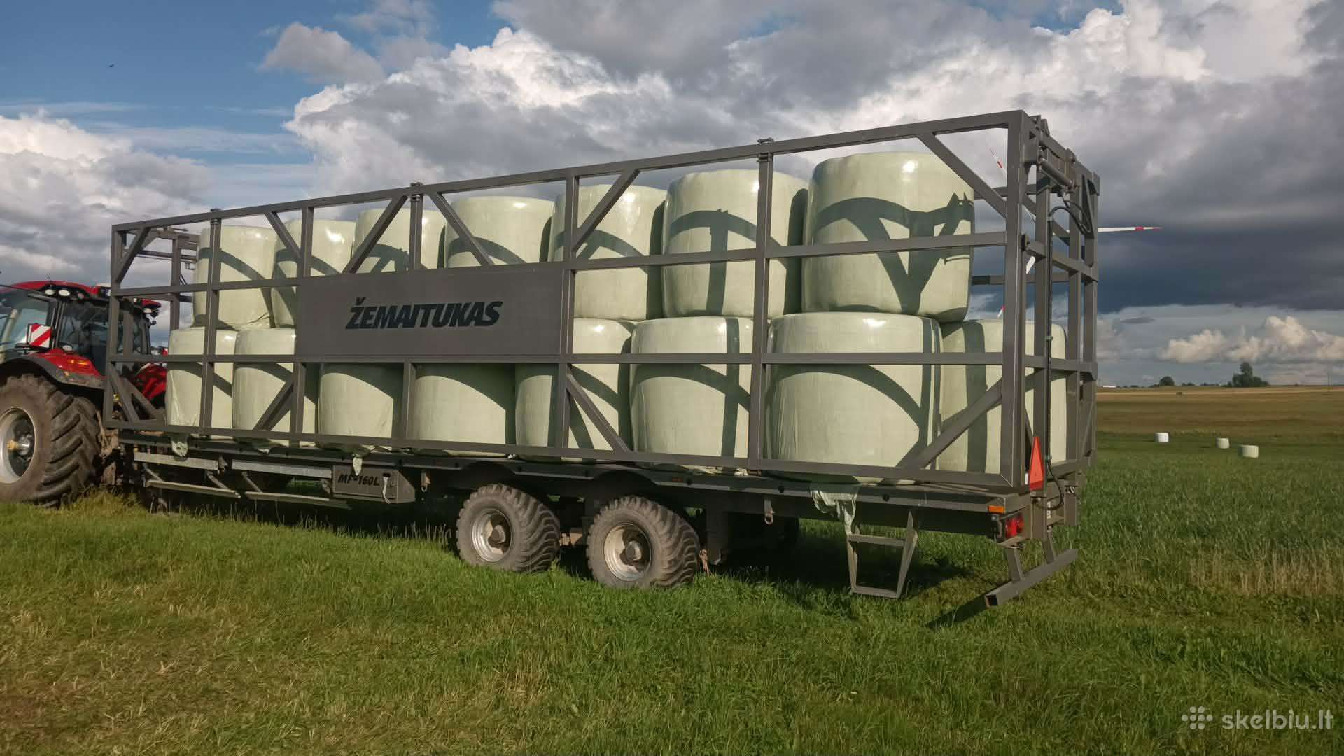 Žemaitukas, flatbed