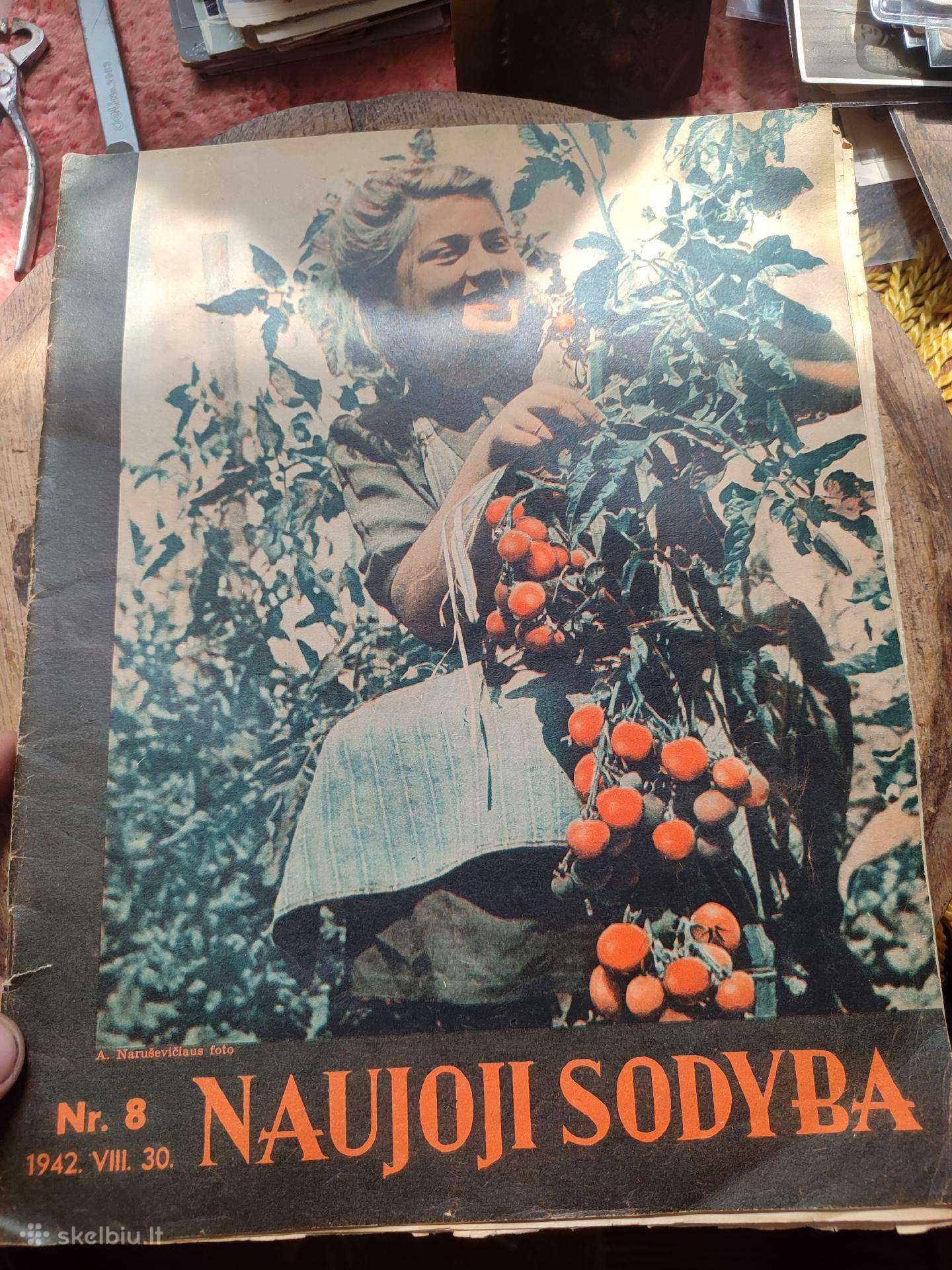 Karo metu žurnalai