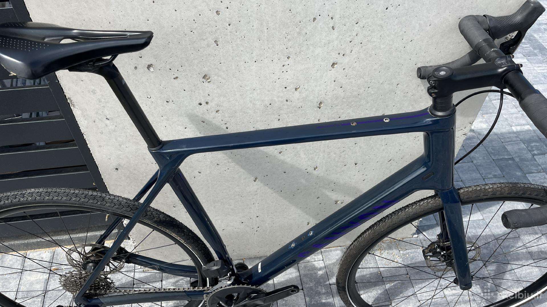 Other bike Canyon