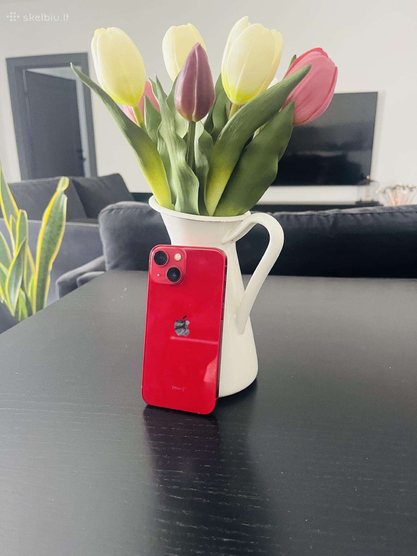 iPhone 13 mini