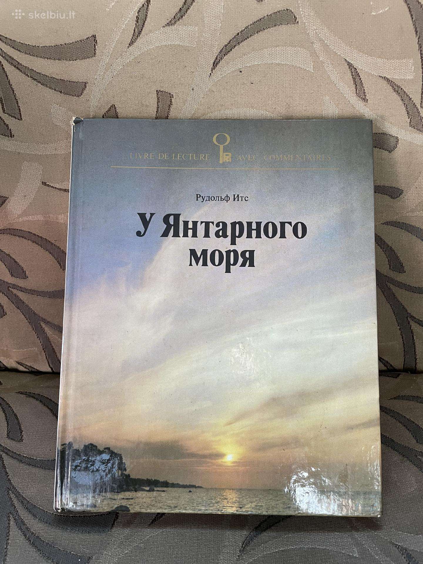 Knyga U jantarnogo moria