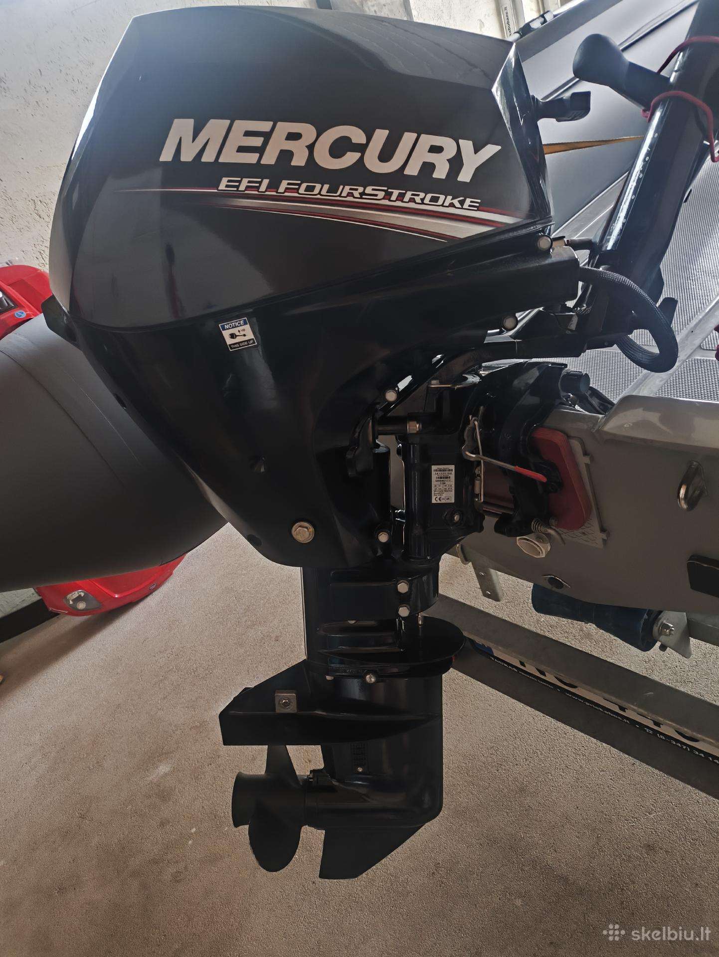 Mercury efi 10