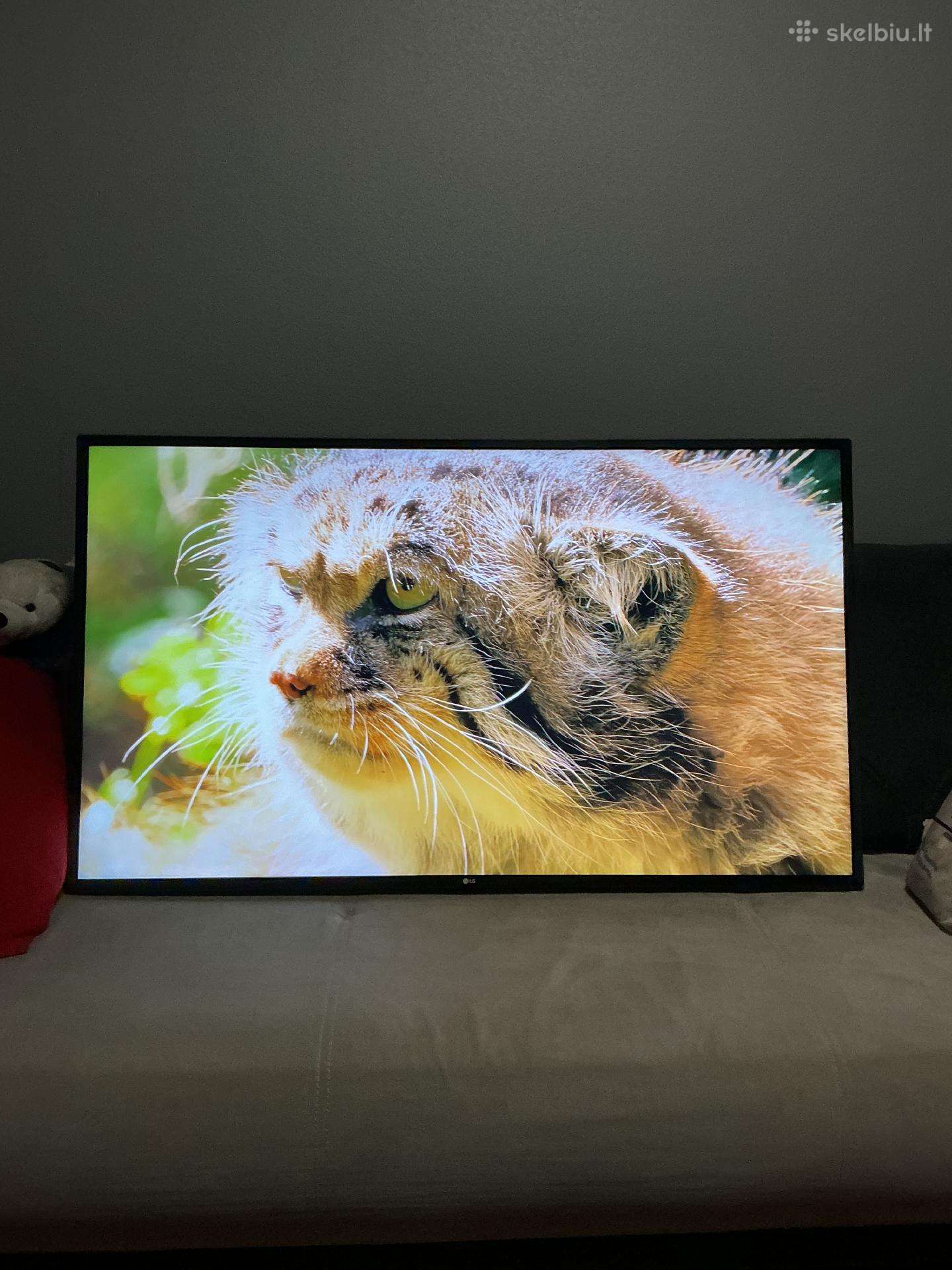 LG (55coliu) 140cm.