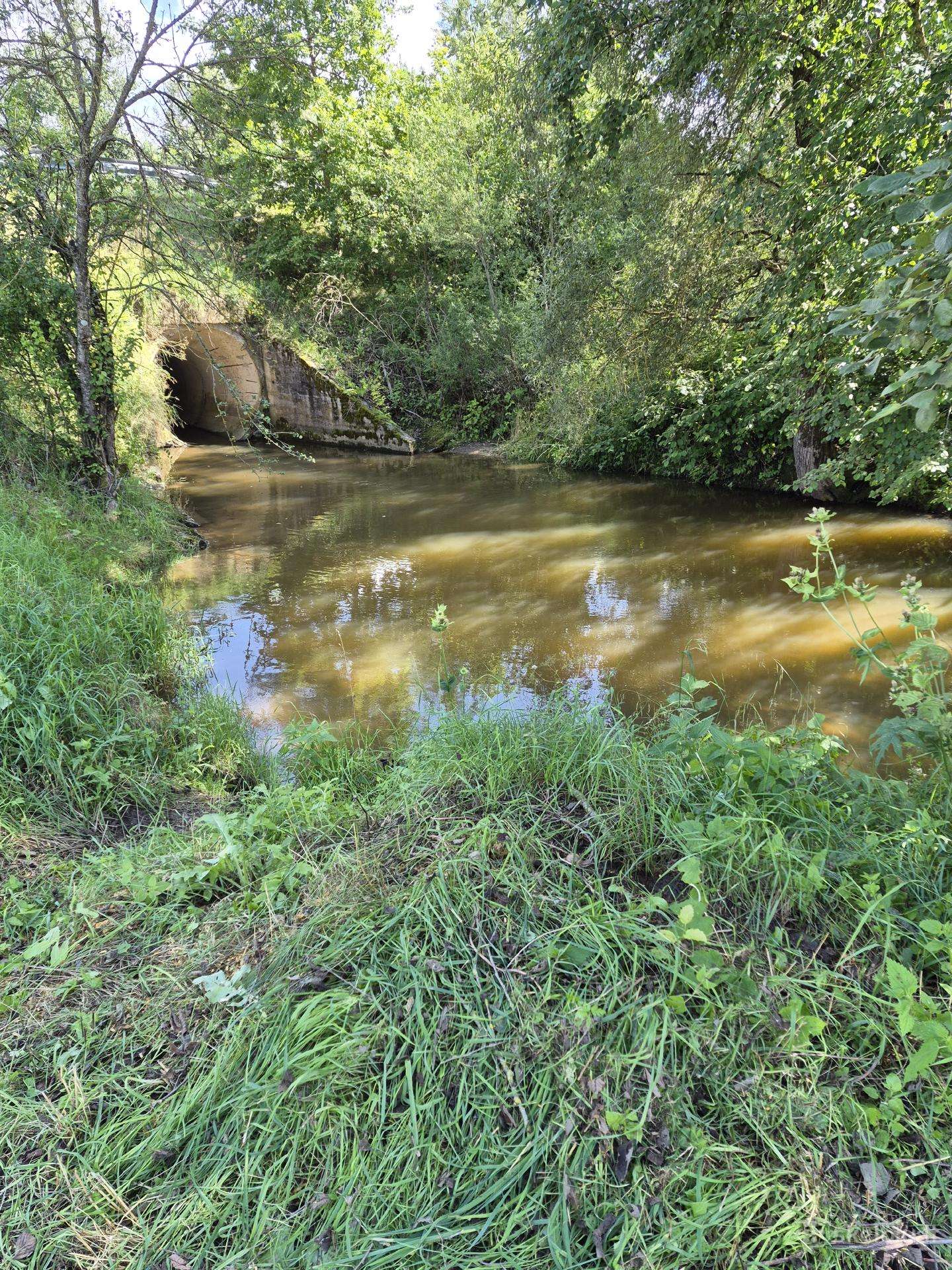 60 arų sklypą prie upelio