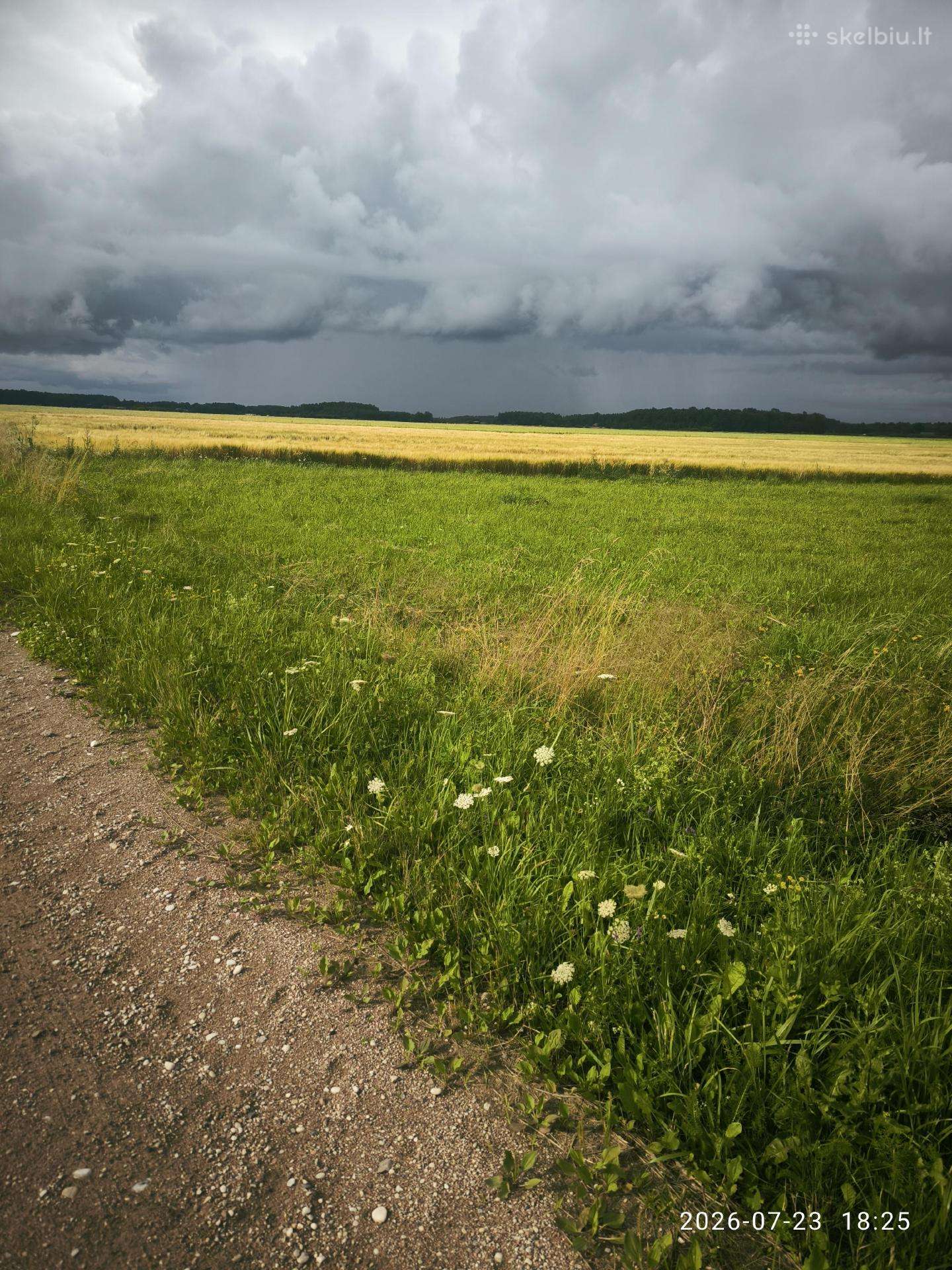 Sklypas Klaipėdos rajone, šalia Vanagų kaimo.