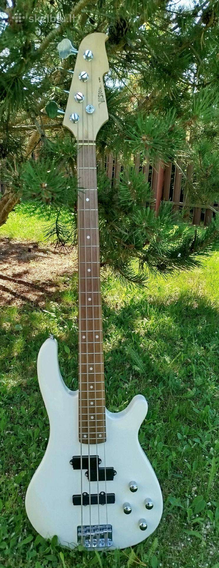 Bosine gitara
